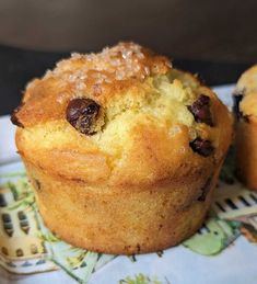 two blueberry muffins sitting on top of a plate