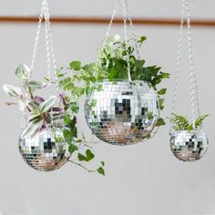 three hanging planters filled with plants and disco ball decorations on a window sill