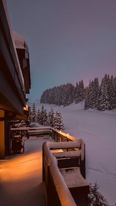 snow covered trees line the side of a building with lights shining on it's windows