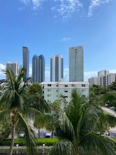 some palm trees and buildings in the background