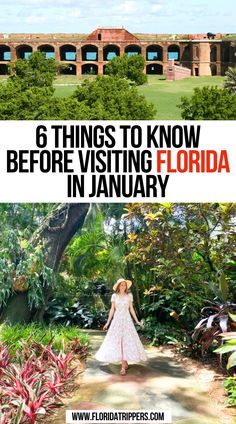 6 Things to Know Before Visiting Florida in January Florida In January, Florida Bucket List, Things To Do In Florida, Florida Vacation Spots, Florida Travel Guide, Ohio Travel, Places In Florida, Us Road Trip, Usa Travel Guide