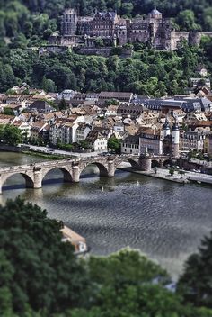 an aerial view of a city and bridge over a body of water with trees in the background