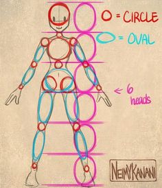 a drawing of a man's body with circles around it and the words circle o - val