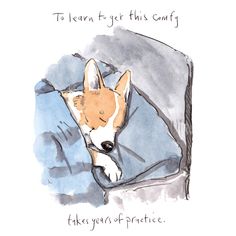 a drawing of a dog laying in bed with the words, to learn to get this camp