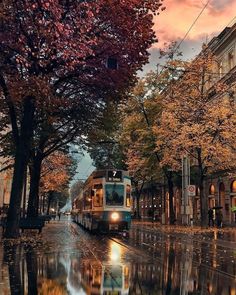 a train is traveling down the street in the rain with red leaves on the trees