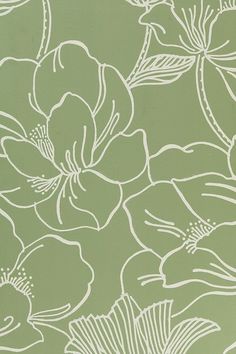 a green floral wallpaper with white flowers on it's sides and leaves in the middle