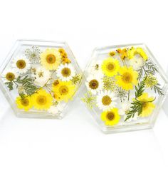 Resin coasters made with yellow pressed flowers! Comes in a set of 2!  Coasters come in three different shapes. Circle, hexagon, and square.  - Circle is 4 inches by 4 inches by 0.7 (height)  - Hexagon is around 4.7 inches by 4 inches by 0.7 (height)  - Square is 4 by 4 by 0.7 (height)  Made with a clear layer of resin. Than flowers are gently placed in resin. Resin has to sit for ever so hours. Than a final layer of resin is added to top it off!  If you would like a different color or multi col Flower Coaster, 4 By 4, Resin Coasters, Pressed Flower, Different Shapes, Pressed Flowers, Drinkware, Barware, Coasters