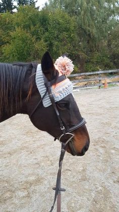 a brown horse wearing a bridle with flowers on it's head in an enclosure