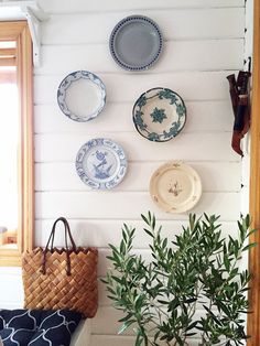 plates are hanging on the wall next to a potted plant with a wicker basket