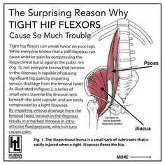 an ad for the hip flexor