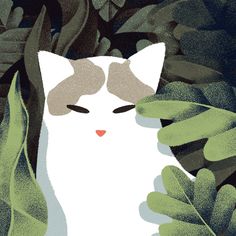 a white cat with green leaves around it