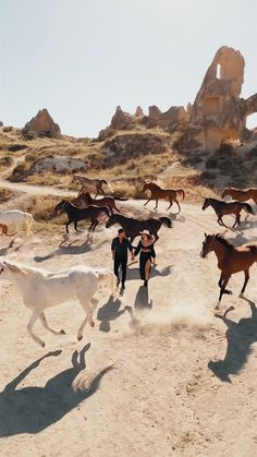 a group of horses running across a dirt field next to rocks and grass in the desert