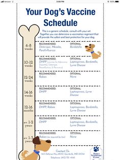 Puppy Shot Schedule, Puppy Schedule, New Puppy Checklist, Puppy Checklist, Dog Shots, Puppy Time, Puppy Mom, Puppies Tips, Puppy Training Tips