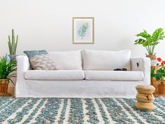 a white couch sitting on top of a blue rug next to potted plantes