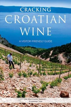 a man standing on top of a rocky hillside next to a vineyard filled with vines