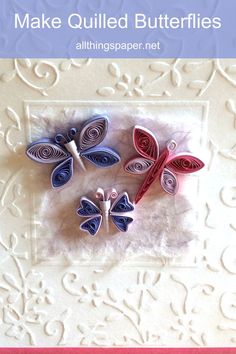 three quilled butterflies center on mulberry paper on embossed floral card stock Small Butterflies, Quilling Paper Craft, Paper Butterflies, Quilling Designs, Paper Cut