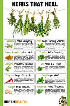 Pinterest Login Healing Plants