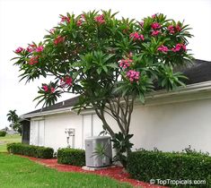 an air conditioner sitting in front of a house with pink flowers on the tree