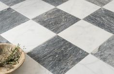 a potted plant sitting on top of a white and black checkered tile floor