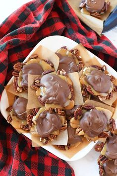 chocolate covered cookies are on a plate with pecans