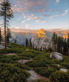 a person standing on top of a lush green hillside next to trees and mountains at sunset