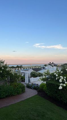 a view of the ocean and beach from a garden area with white flowers in bloom