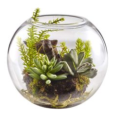 a glass bowl filled with plants and dirt on top of a white surface, in the shape of a fishbow