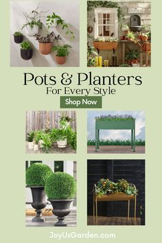 pots and planters for every style shop now