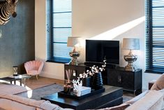 a living room filled with furniture next to two windows covered in shades of zebra print