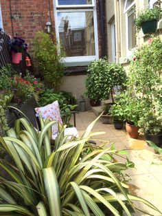 a patio with potted plants in front of a brick building and door on the other side