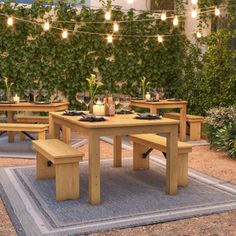 a picnic table with benches and lights strung over it in front of an outdoor dining area