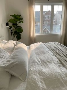 an unmade bed with white sheets and pillows in front of a large window that has a potted plant next to it