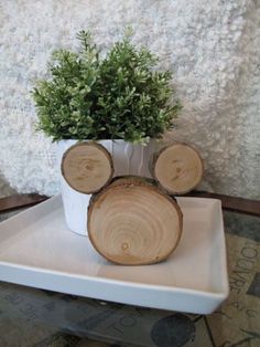 there is a small potted plant in the middle of two logs on a tray