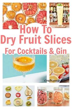 the cover of how to dry fruit slices for cocktails and gin, with pictures of various