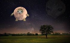 an animal floating in the air over a lush green field under a night sky filled with stars