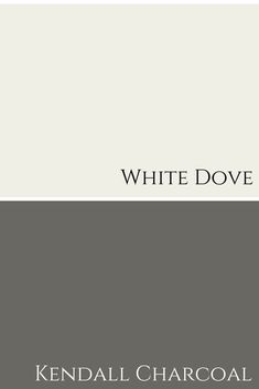 white dove by kendall charcoal