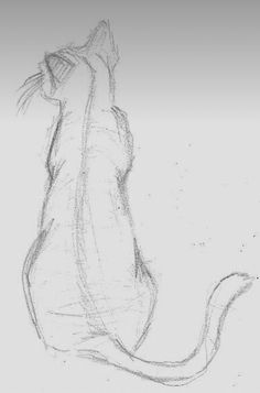 a pencil drawing of a cat sitting on its hind legs looking up at the sky