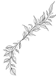 a black and white drawing of a branch with leaves