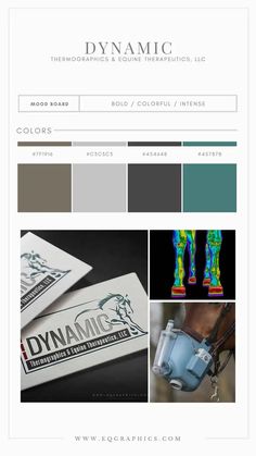 the color scheme for dynamic's website