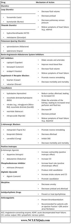 a sample resume for an it professional in the philippines, with no work experience or skills