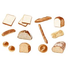 breads and loaves are shown on a white background in this drawing, there is no image here to provide a caption for