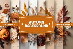 an autumn background with flowers, leaves and acorns in shades of orange and brown