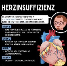 an image of the human heart with words describing its functions and features in german language