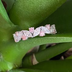 three stone ring sitting on top of a green plant