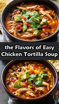 the flavors of easy chicken tortilla soup