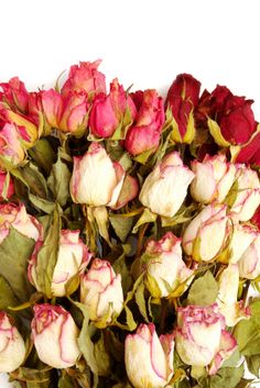 a bunch of red and white roses with green leaves on the stems, isolated against a white background