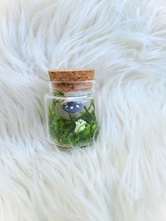 a glass jar filled with green plants and moss