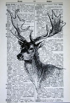 an old book page with a drawing of a deer's head on the pages