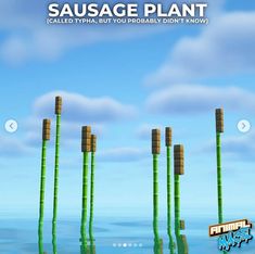 an image of some poles in the water with words above them that say sausage plant