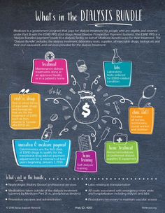 what's in the daisysiss bundle? infographical poster on chalkboard